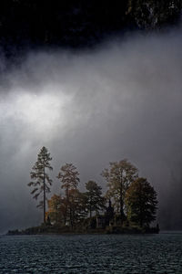 Silhouette trees by lake against sky