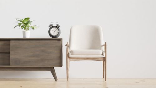 Potted plant against white background