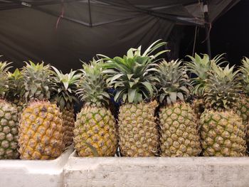 View of fruits for sale in market