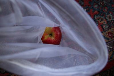 High angle view of apple in net 