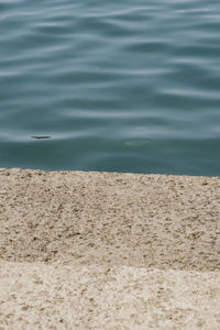 High angle view of beach