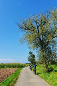 Rear view of friends riding bicycle on road against blue sky
