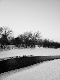 Bare trees on snow covered field against sky