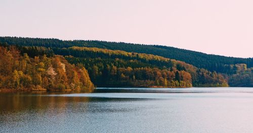 Scenic view of lake in forest against clear sky