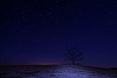 Scenic view of tree against sky at night