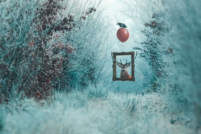 Digital composite image of deer with picture frame amidst plants during winter