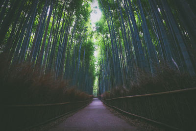 Arashiyama at kyoto, japan