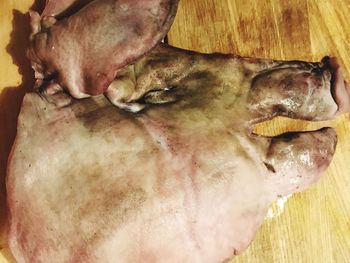 Cat sleeping in the dark