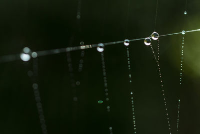 Close-up of water drops on glass