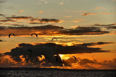 Silhouette birds flying over sea against sky during sunset