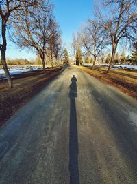 Shadow of man on road by bare trees
