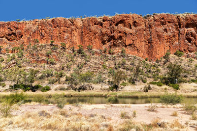 Scenic view of landscape against clear sky