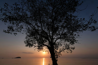 Silhouette tree by sea against sky during sunset