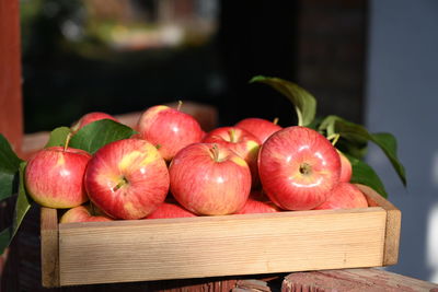 Close-up of apples on table