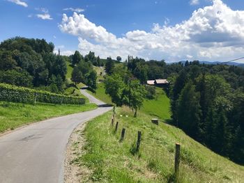 Road amidst trees against sky - vineyuards 