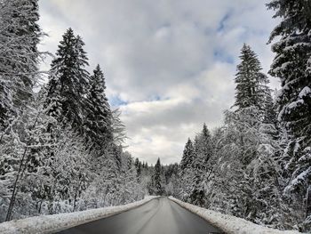 Road amidst trees in winter against sky