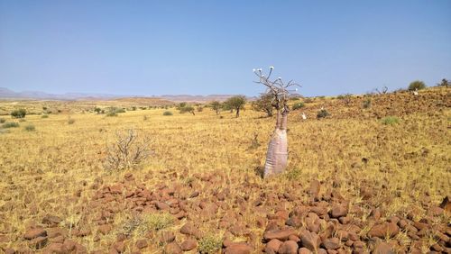 Panoramic view of cross on field against clear sky
