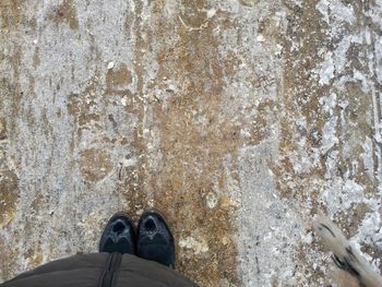 Low section of man standing on ground
