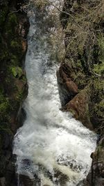 High angle view of waterfall in forest