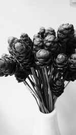 Low angle view of pine cone against sky