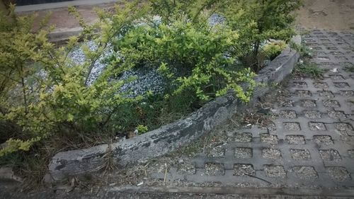 High angle view of staircase