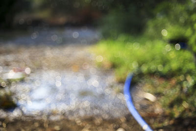 Close-up of water drops on plant