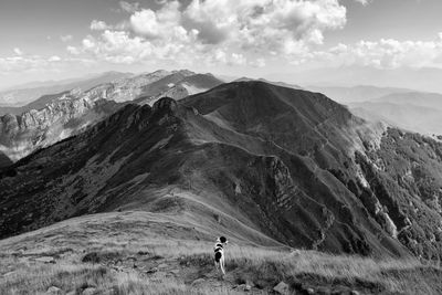 Dog by mountain range against sky