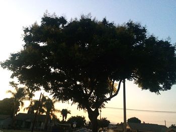 Silhouette trees against sky