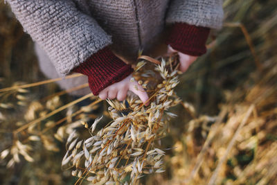 Close-up of hand holding plant