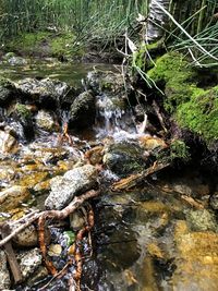 River flowing through rocks in forest