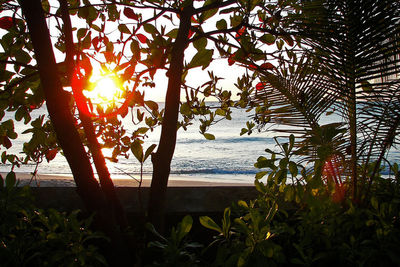 Scenic view of sea at sunset