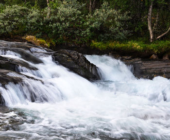 Scenic view of waterfall in forest