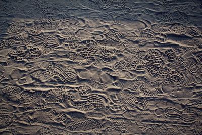 Full frame shot of tiled floor