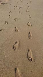 High angle view of footprints on sand