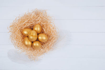 High angle view of eggs in nest on white background