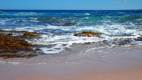 Scenic view of sea against blue sky