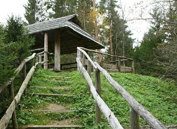 Built structure against trees