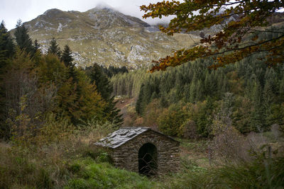 Built structure on land against trees in forest
