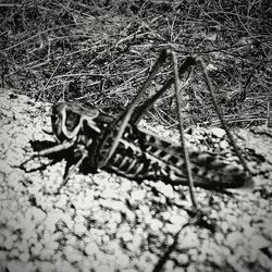 High angle view of building