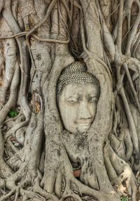 Statue of buddha in temple