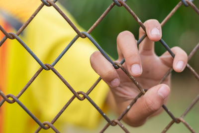 Close-up of hand holding chainlink fence