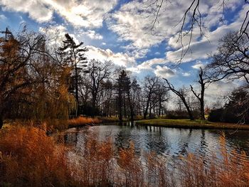 View of trees in lake against cloudy sky