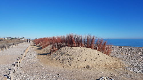 Scenic view of beach against clear blue sky