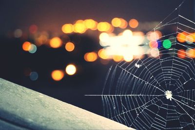 Close-up of illuminated spider web at night