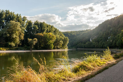 Scenic view of lake by trees against sky