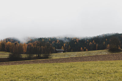 Trees on field against sky