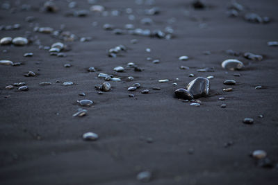 High angle view of wet pebbles at beach