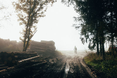 Rear view of woman riding bicycle on field