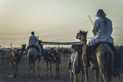 Rear view of people riding camel