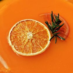 High angle view of orange slices in plate